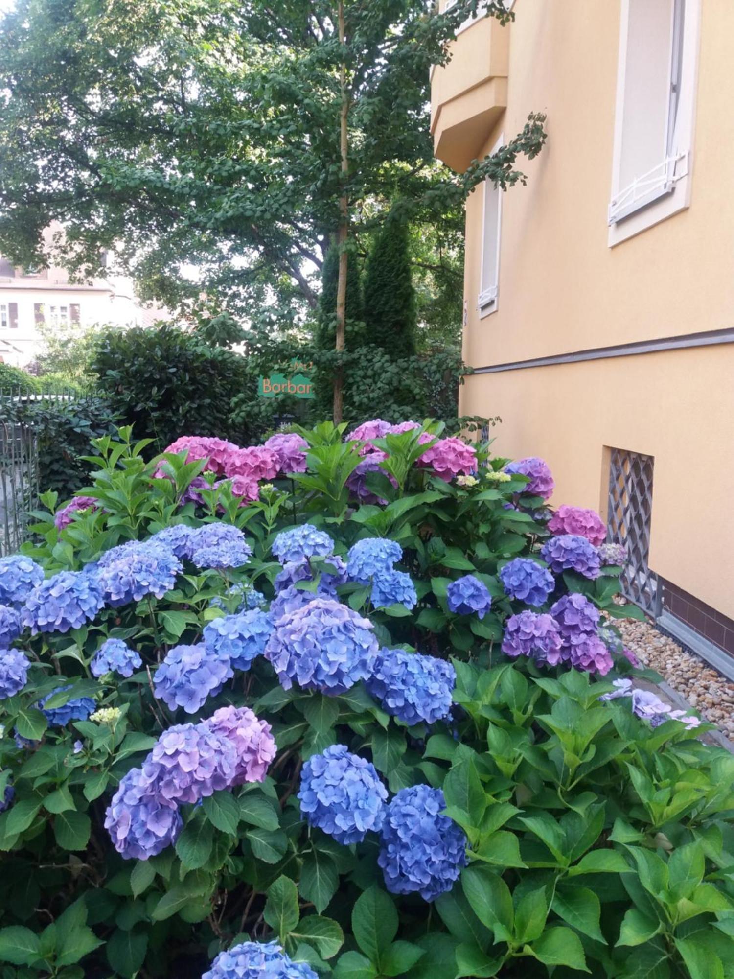 Apartment Barbara Mariánské Lázně Exterior foto